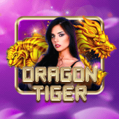 Dragon Tiger super ace casino casino
